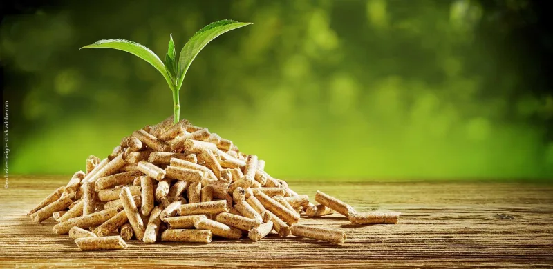Klimafreundliche Holzpellets und Biomasse-Heiztechnik